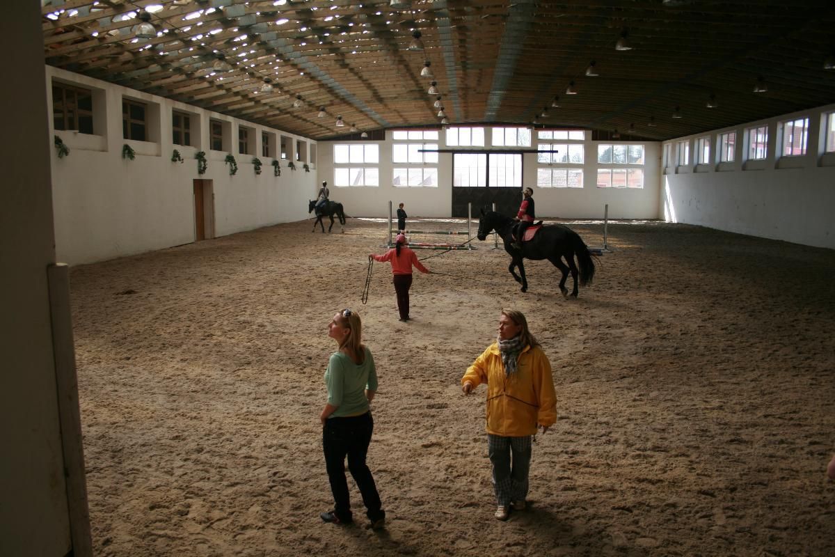 V Bohuslavicích u Telče můžete v neděli potkat zaříkavače koní
