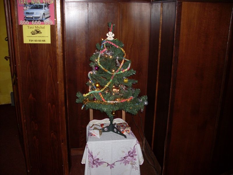 V Brodě oslavili letní Vánoce