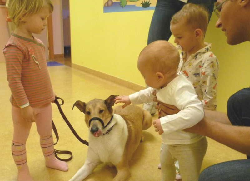 obrázek: V brodské nemocnici se snaží dětem zpříjemnit pobyt