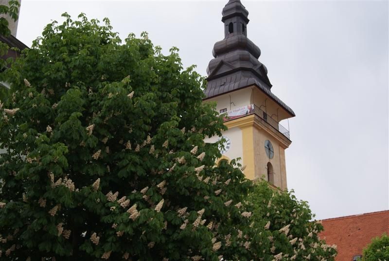 V budějovickém muzeu se sejdou čeští a rakouští etnografové