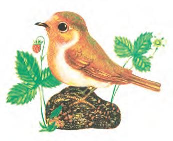 obrázek: V Dolních Dubňanech pokřtí knihu Jako když mávne motýlím křídlem