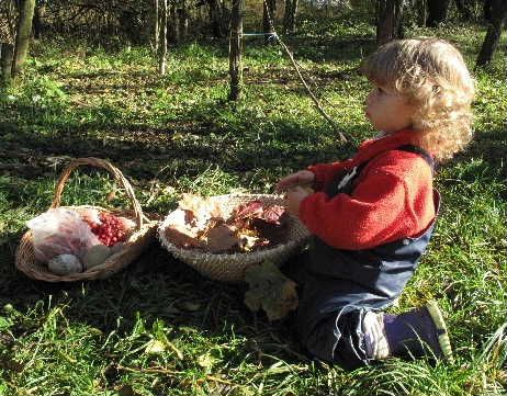 V Jeníkově a Chotěboři představí lesní školku