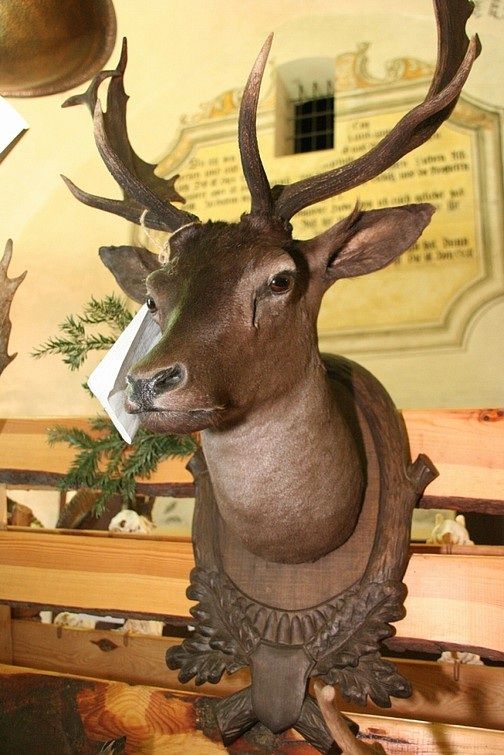V Jihlavě na radnici zahájí přehlídku trofejí