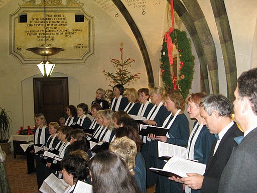 V Jihlavě oslaví jubileum Petra Šandery