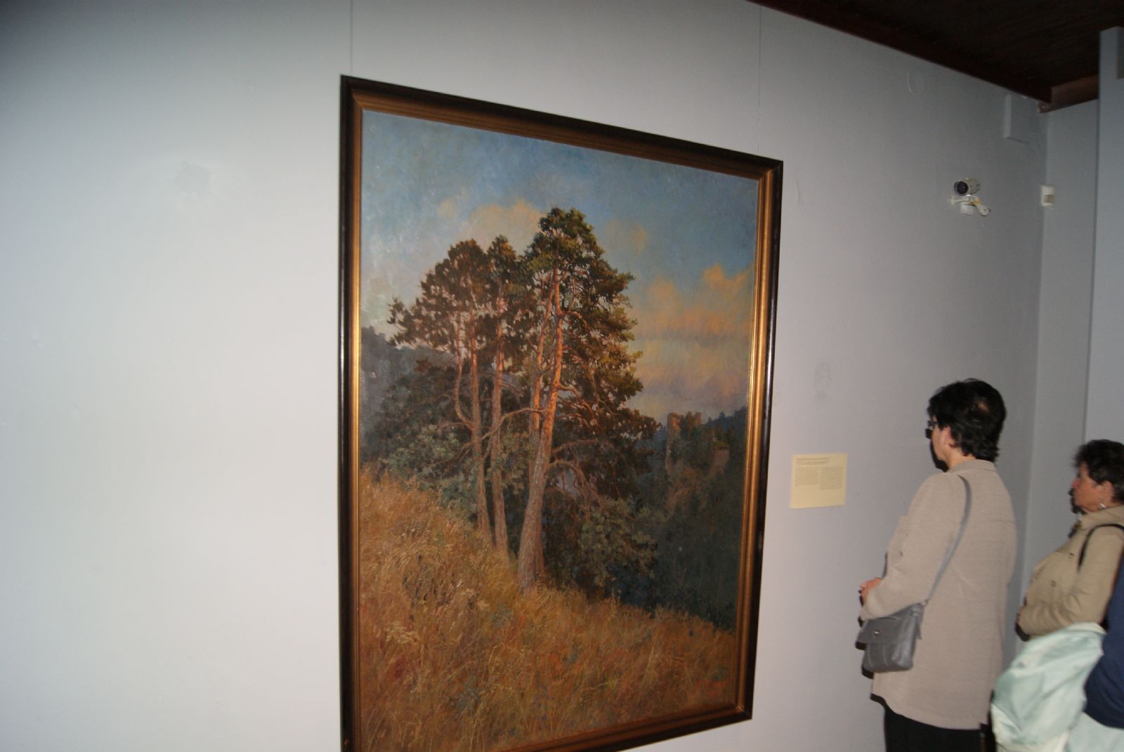 obrázek: V Jihlavě otevřeli výstavu obrazů hradů v česko-rakouském příhraničí