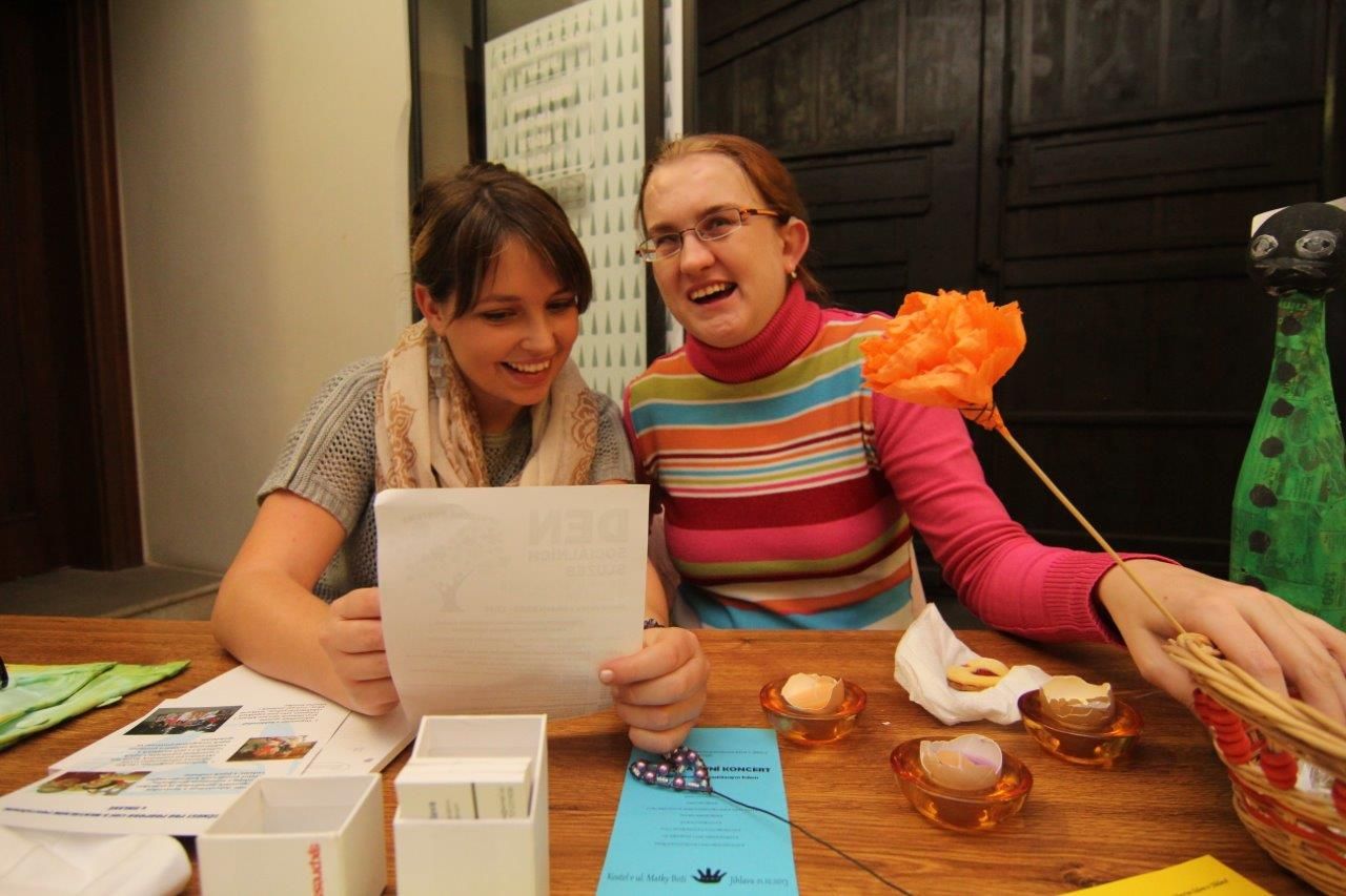 obrázek: V Jihlavě se mluvilo o sociálních službách