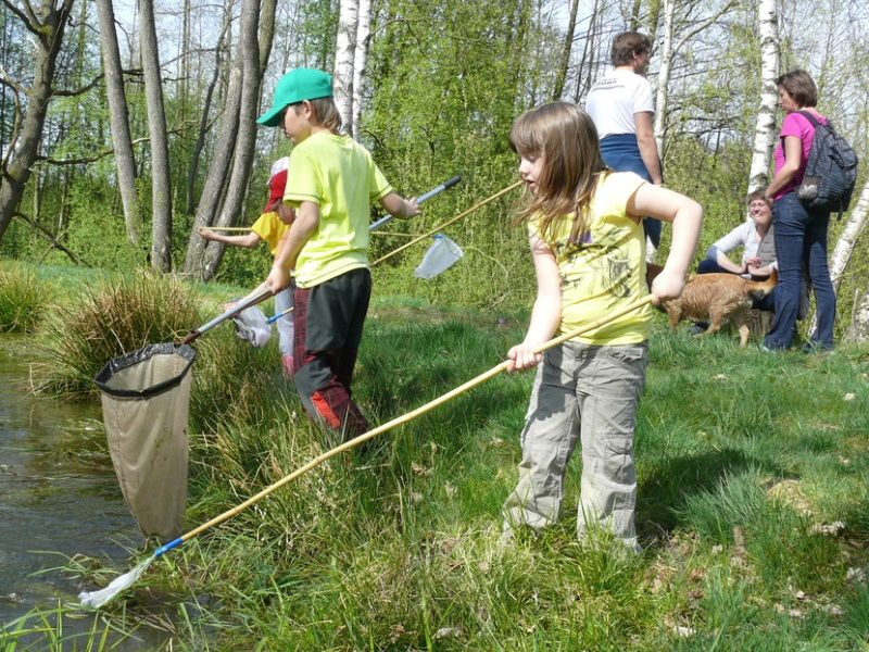obrázek: V Jihlavě vyrazili za obojživelníky