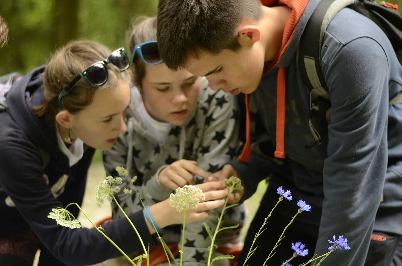 V Náměšti nad Oslavou začalo finále Zlatého listu