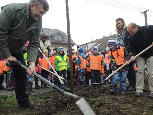 V Náměšti vyšli vstříc přání místních a obnovili alej