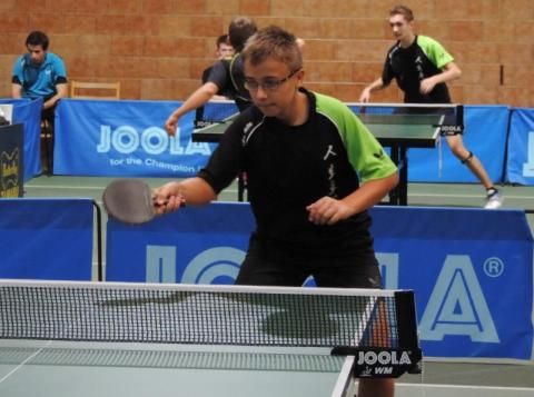 obrázek: V neděli medailoví Bárta s Růžičkovou