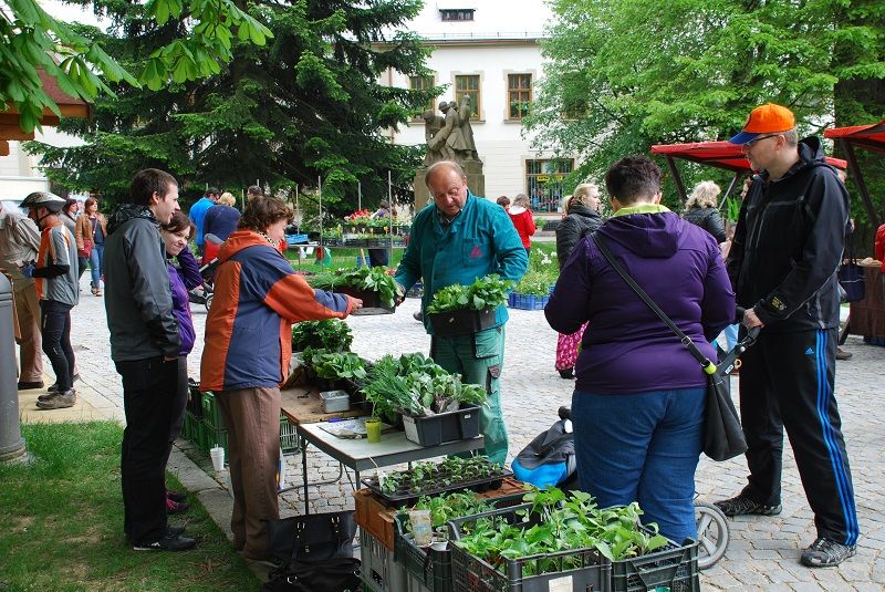 obrázek: V Novém Městě na Moravě startují farmářské trhy