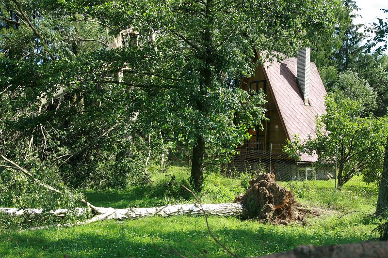 V okolí Přibyslavi popadaly desítky stromů
