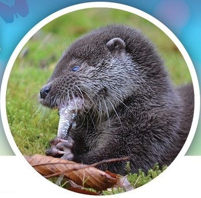 V Pavlově otevřou zrekonstruované ekocentrum