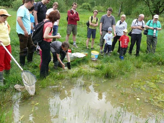 V Pístově se uskutečnila akce Pojďte s námi za žábami