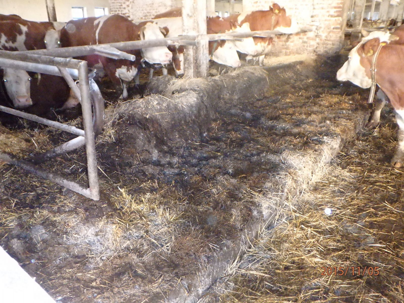 obrázek: V Předíně na Třebíčsku hořelo v kravíně