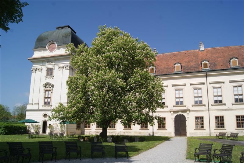 V Riegersburgu otevřeli výstava Dolar, poklady a umění