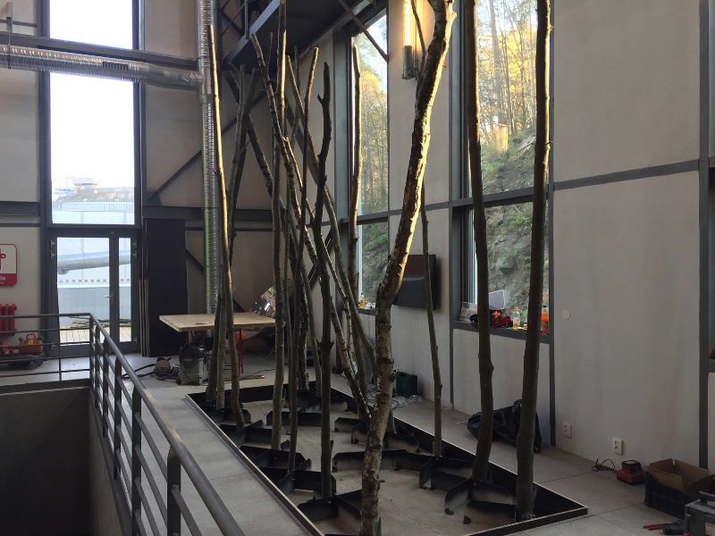 obrázek: V třebíčském Alternátoru vyroste les, ukáže využití biomasy