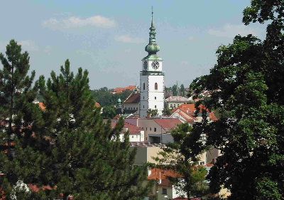 obrázek: Vánoční sbírka v Třebíči vynesla více než 42 tisíc korun