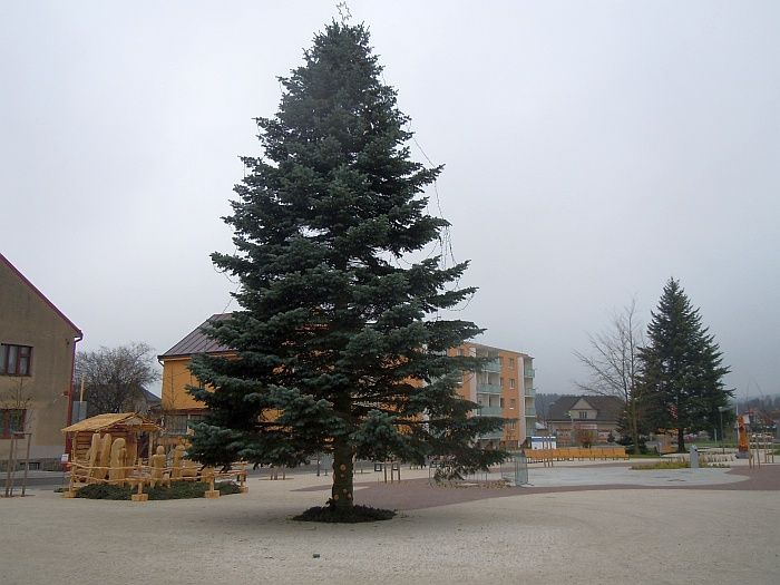obrázek: Vánoční strom a betlém na ždíreckém náměstí