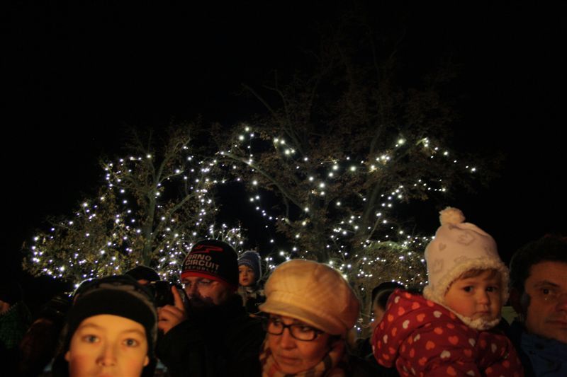 Vánoční strom v Jaroměřicích už svítí