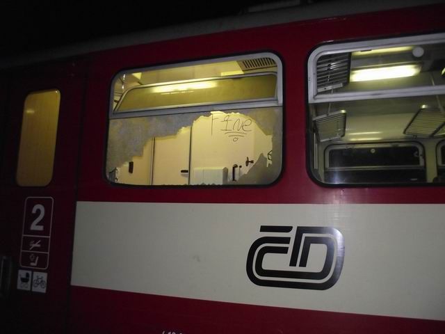 Ve čtvrtek v noci vítr srážel na Vysočině stromy