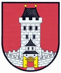 Ve Světlé odehráli mladí stolní tenisté okresní bodovací turnaj