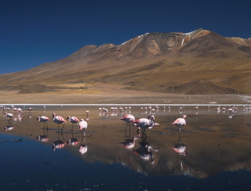 /uws_images/firmy/083199/clanky/ve-velkem-mezirici-peru-a-bolivie-ve-3d/000002_h.JPG