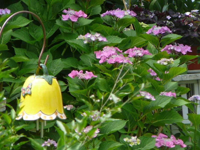 Ve Velkém Meziříčí předají plakety Přírodní zahrada