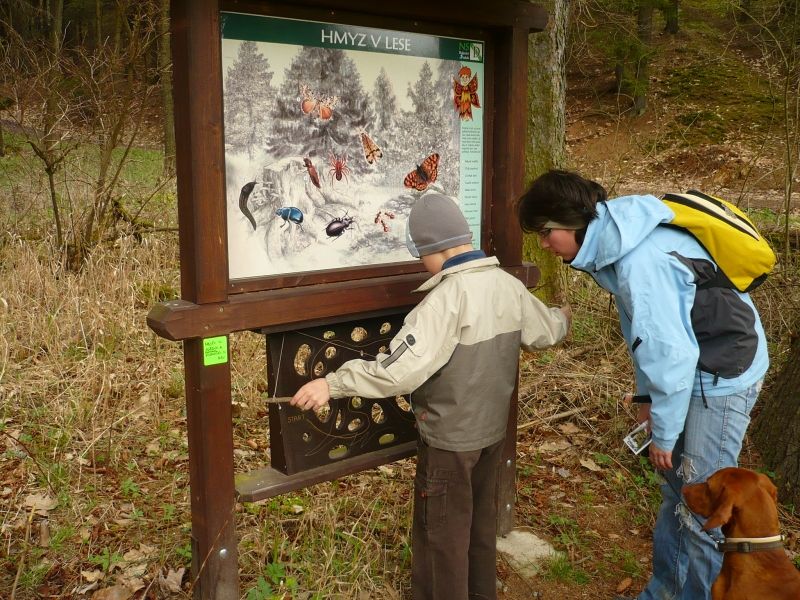 Ve Velkém Meziříčí si vyzkoušeli o víkendu bystrost