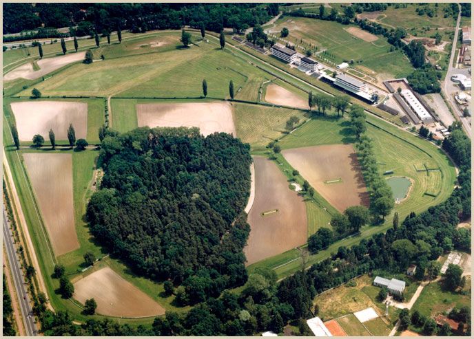 Velkou Pardubickou vyhrála Orphee des Blind