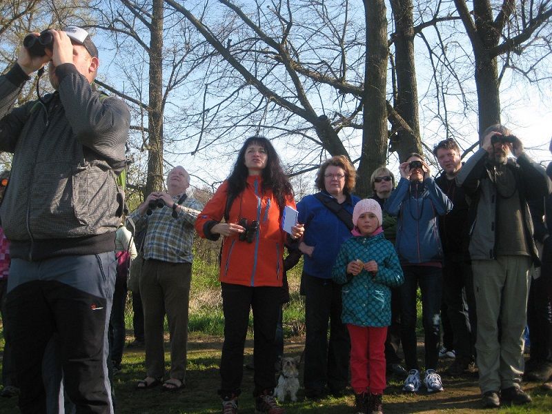 Vítání ptačího zpěvu v Jihlavě se vydařilo