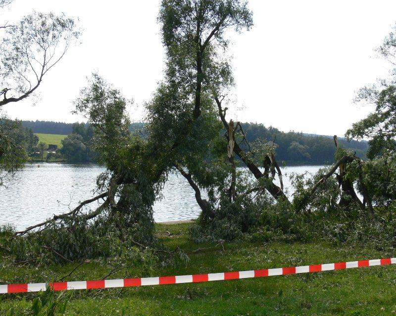 Vítr lámal na Vysočině stromy, nejvíce zásahů měli hasiči na Jihlavsku