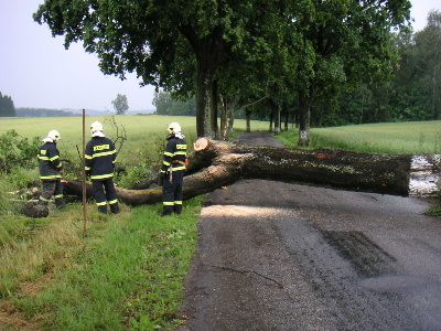 obrázek: Vítr tentokrát na Vysočině příliš neškodil