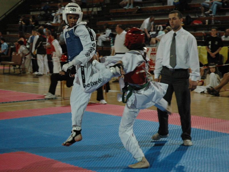 Vysočina králem taekwondo na Czech open 2008