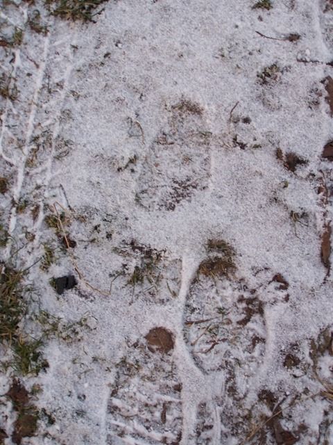 Vysočina pokrytá mrazem