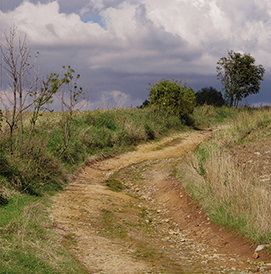 obrázek: Výstava soutěže Photographia natura 2014 v Jihlavě
