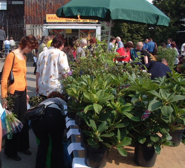 Výstava Zahrada nabídne řadu novinek