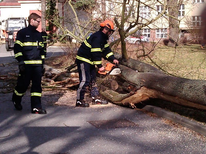 Z areálu pelhřimovské nemocnice zmizely suché a nebezpečné stromy