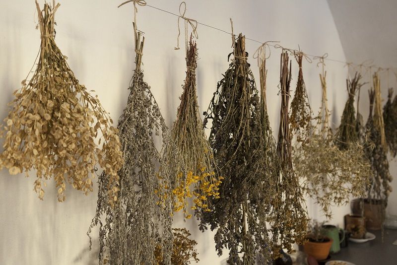 obrázek: Za bylinkami na brtnický zámek