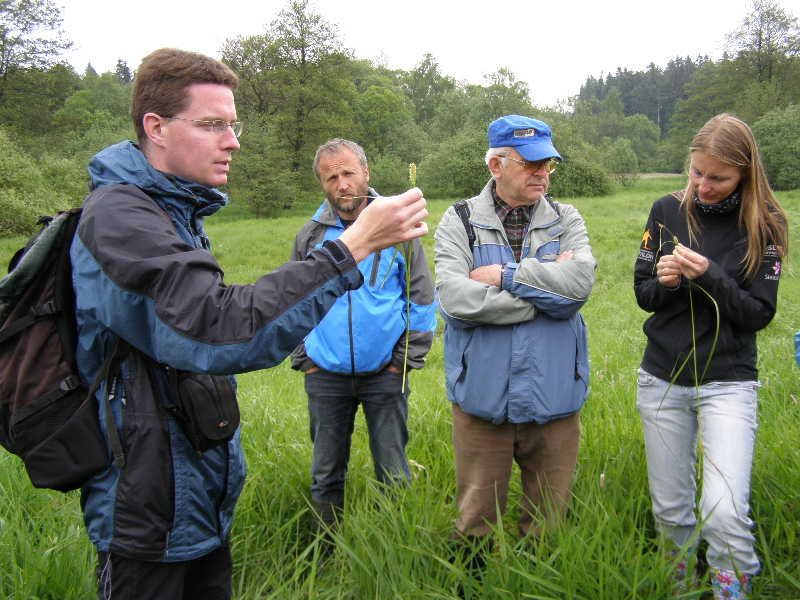 obrázek: Za květinami a obojživelníky na Žďársko