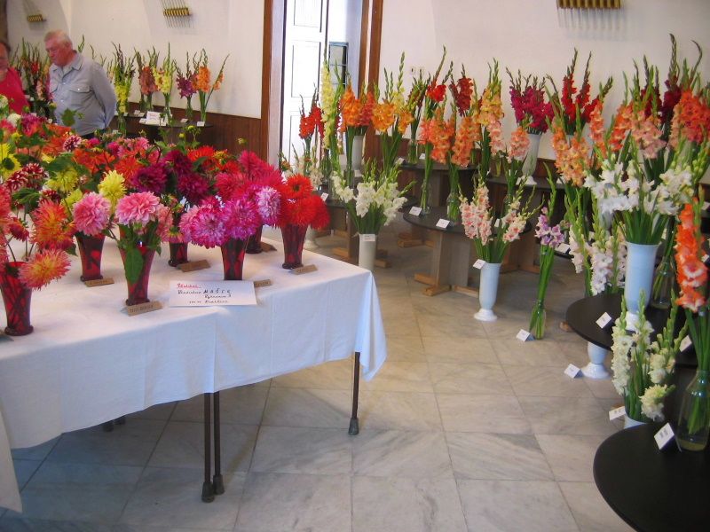 obrázek: Za mečíky a jiřinami do Žirovnice