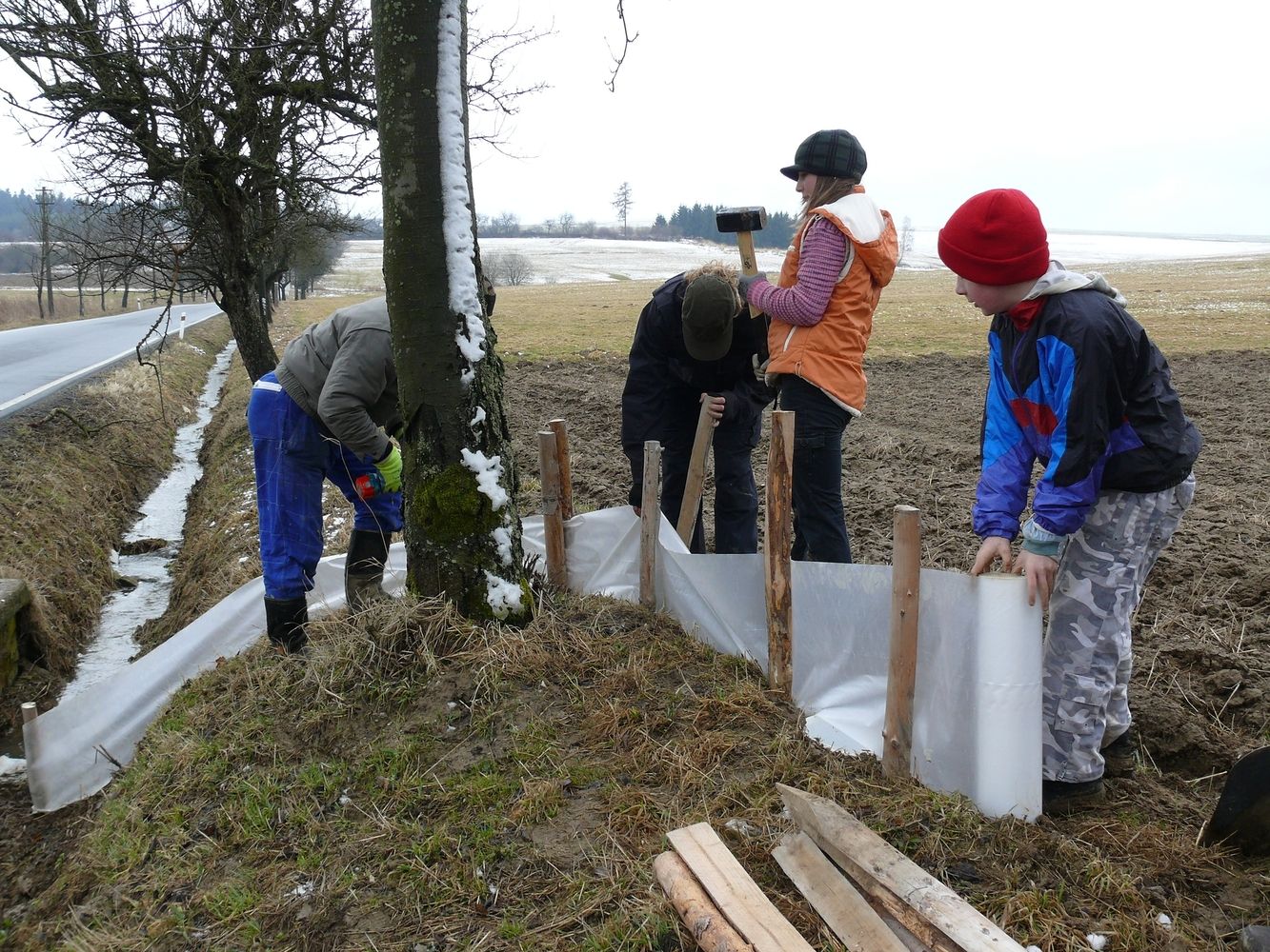 Zábrany zachrání na Vysočině každý rok stovky žab