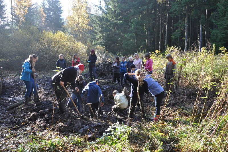 Žáby na Stavišti ve Žďáru nad Sázavou čekají na mladé vědce
