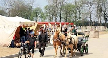 obrázek: Začíná sezona Mitrovských farmářských trhů