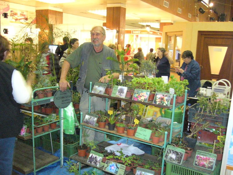 obrázek: Zahrada 2010 startuje v pátek v Brodě
