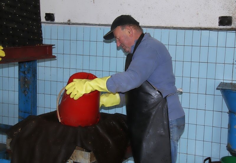 Zahrádkáři v Ledči ukončili moštování