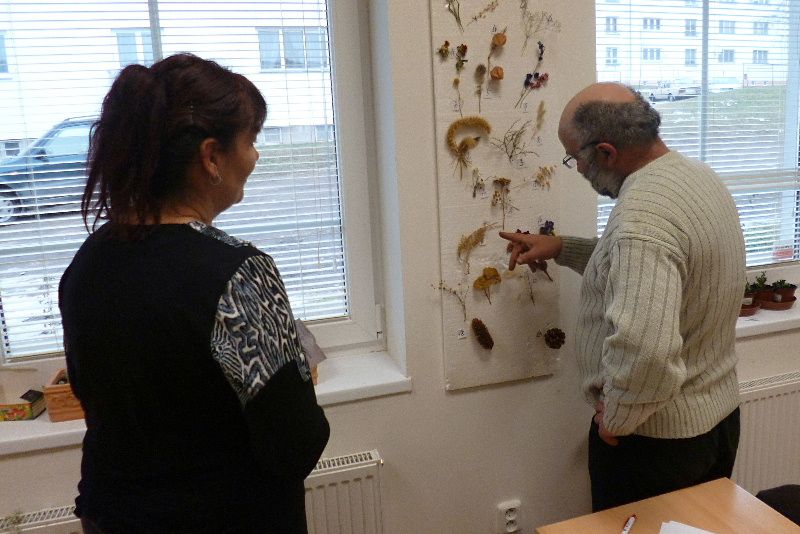 obrázek: Zahradníci v Jihlavě mají za sebou první zkoušky