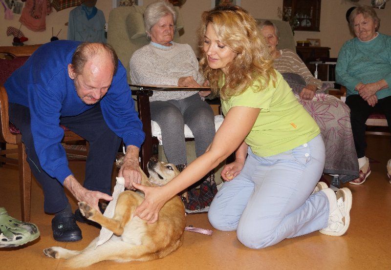 obrázek: Zájemci si prohlédli ždírecký domov