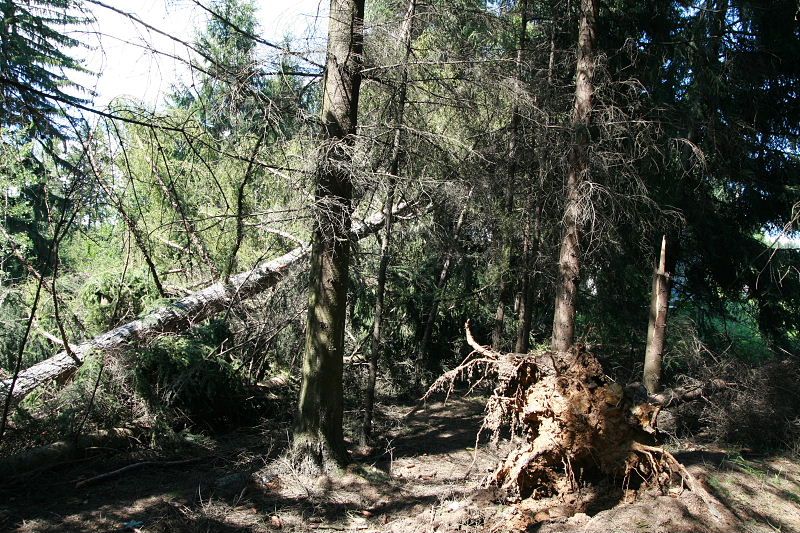 Zákaz vstupu do lesů u Jihlavy