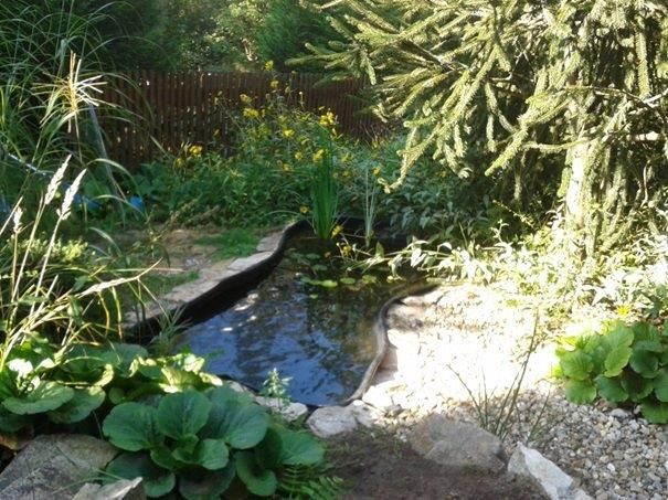 Základní škola Kpt. Jaroše v Třebíči bude mít přírodní zahradu